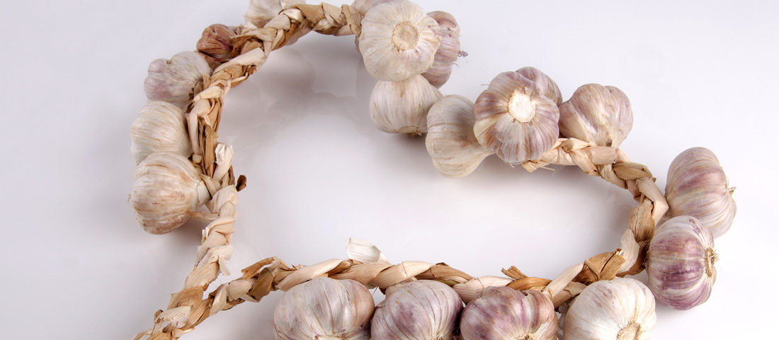 Garlic Reverses Heart Disease