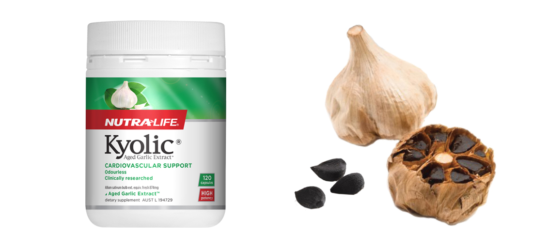 Kyolic Aged Garlic Extract (InfoGraphic) NutraLife NZ